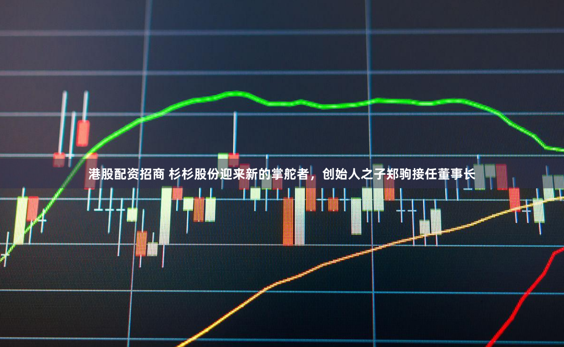 港股配资招商 杉杉股份迎来新的掌舵者，创始人之子郑驹接任董事长